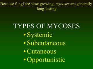 TYPES OF MYCOSES
•Systemic
•Subcutaneous
•Cutaneous
•Opportunistic
Because fungi are slow growing, mycoses are generally
long-lasting
 