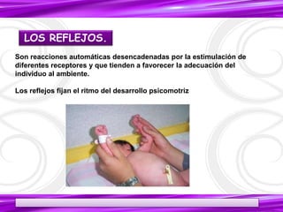 19/05/2017
Son reacciones automáticas desencadenadas por la estimulación de
diferentes receptores y que tienden a favorecer la adecuación del
individuo al ambiente.
Los reflejos fijan el ritmo del desarrollo psicomotriz
LOS REFLEJOS.
38
 