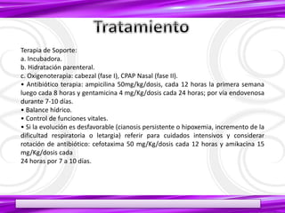 Terapia de Soporte:
a. Incubadora.
b. Hidratación parenteral.
c. Oxigenoterapia: cabezal (fase I), CPAP Nasal (fase II).
• Antibiótico terapia: ampicilina 50mg/kg/dosis, cada 12 horas la primera semana
luego cada 8 horas y gentamicina 4 mg/Kg/dosis cada 24 horas; por vía endovenosa
durante 7-10 días.
• Balance hídrico.
• Control de funciones vitales.
• Si la evolución es desfavorable (cianosis persistente o hipoxemia, incremento de la
dificultad respiratoria o letargia) referir para cuidados intensivos y considerar
rotación de antibiótico: cefotaxima 50 mg/Kg/dosis cada 12 horas y amikacina 15
mg/Kg/dosis cada
24 horas por 7 a 10 días.
 