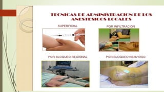 Neuropsicofarmacologia