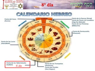 8° día
8° día
 