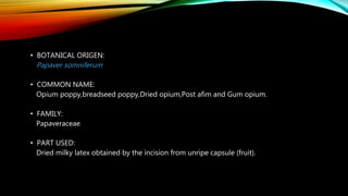 • BOTANICAL ORIGEN:
Papaver somniferum
• COMMON NAME:
Opium poppy,breadseed poppy,Dried opium,Post afim and Gum opium.
• FAMILY:
Papaveraceae
• PART USED:
Dried milky latex obtained by the incision from unripe capsule (fruit).
 