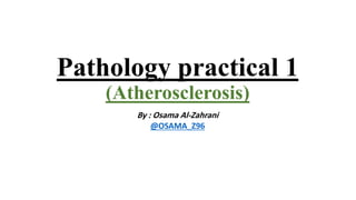 Pathology practical 1
(Atherosclerosis)
By : Osama Al-Zahrani
@OSAMA_Z96