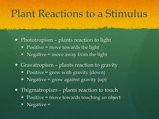 Plant Reactions to a Stimulus
Phototropism – plants reaction to light
Positive = move towards the light
Negative = move away from the light
Gravatropism – plants reaction to gravity
Positive = grow with gravity (down)
Negative = grow against gravity (up)
Thigmatropism – plants reaction to touch
Positive = move towards touching an object
Negative =