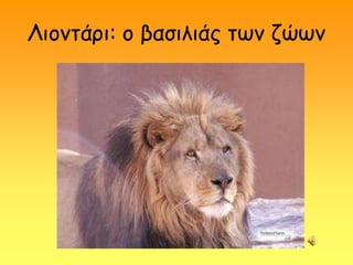 Ληοκηάρη: ο βαζηιηάς ηωκ δώωκ
 