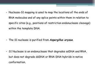 • Nuclease-S1 mapping is used to map the locations of the ends of
RNA molecules and of any splice points within them in relation to
specific sites (e.g., positions of restriction endonuclease cleavage)
within the template DNA.
• The S1 nuclease is purified from Aspergillus oryzae.
• S1 Nuclease is an endonuclease that degrades ssDNA and RNA,
but does not degrade dsDNA or RNA-DNA hybrids in native
conformation.