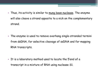 • Thus, its activity is similar to mung bean nuclease. The enzyme
will also cleave a strand opposite to a nick on the complementary
strand.
• The enzyme is used to remove overhang single-stranded termini
from dsDNA, for selective cleavage of ssDNA and for mapping
RNA transcripts.
• It is a laboratory method used to locate the 5’end of a
transcript in a mixture of RNA using nuclease S1.