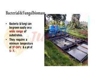 Bacterial&Fungalbiomass
• Bacteria &fungi can
begrown easily on a
wide range of
substrates.
• They require a
minimum temperature
of 15º-34ºc & a pH of
5- 7.
 