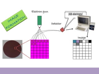 156 electrons!
Image
Detector
Electron gun
288 electrons!
 