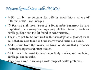 MSCs exhibit the potential for differentiation into a variety of
different cells/tissue lineages.
 (MSCs) are multipotent stem cells found in bone marrow that are
important for making and repairing skeletal tissues, such as
cartilage, bone and the fat found in bone marrow.
 These are not to be confused with haematopoietic (blood) stem
cells that are also found in bone marrow and make our blood.
 MSCs come from the connective tissue or stroma that surrounds
the body’s organs and other tissues.
 MSCs has to be used to create new body tissues, such as bone,
cartilage, and fat cells.
 They play a role in solving a wide range of health problems.
 