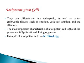  They can differentiate into embryonic, as well as extra-
embryonic tissues, such as chorion, yolk sac, amnion, and the
allantois.
 The most important characteristic of a totipotent cell is that it can
generate a fully-functional, living organism.
 Example of a totipotent cell is a fertilized egg.
 