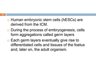 39
 Human embryonic stem cells (hESCs) are
derived from the ICM.
 During the process of embryogenesis, cells
form aggregations called germ layers
 Each germ layers eventually give rise to
differentiated cells and tissues of the foetus
and, later on, the adult organism.
 