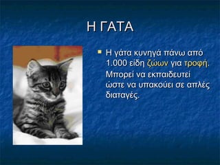 Η ΓΑΤΑΗ ΓΑΤΑ
  Η γάτα κυνηγά πάνω απόΗ γάτα κυνηγά πάνω από
1.000 είδη1.000 είδη  ζώωνζώων για για  τροφήτροφή..
Μπορεί να εκπαιδευτείΜπορεί να εκπαιδευτεί
ώστε να υπακούει σε απλέςώστε να υπακούει σε απλές
διαταγές.διαταγές.
 