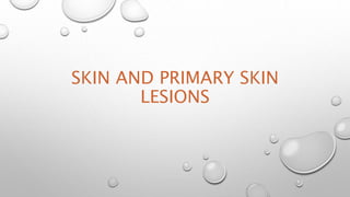 SKIN AND PRIMARY SKIN
LESIONS
 