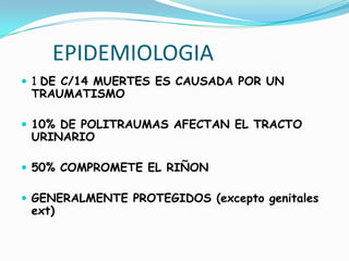 CATEDRA DE UROLOGIA