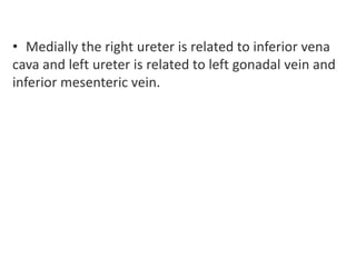 • Medially the right ureter is related to inferior vena
cava and left ureter is related to left gonadal vein and
inferior mesenteric vein.
 