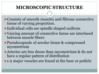 MICROSCOPIC STRUCTURE
⚫Consists of smooth muscles and fibrous connective
tissue of varying proportion.
⚫Individual cells are spindle shaped uniform
⚫Varying amount of connective tissue are interlaced
between muscle fibers
⚫Pseudocapsule of areolar tissue & compressed
myometrium
⚫Arteries are less dense than myometrium & do not
have a regular pattern of distribution
⚫1-2 major vesseles are found at the base or pedicle
 