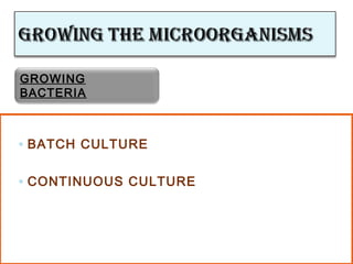 ◦ BATCH CULTURE
◦ CONTINUOUS CULTURE
GROWING
BACTERIA
 