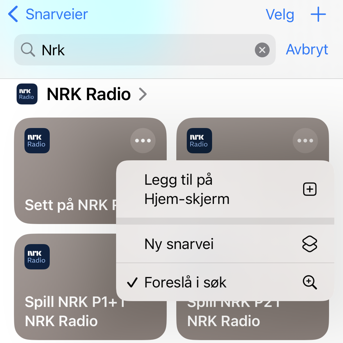 Bildet er tilnærmet likt forrige bilde, men det ligger en boks over som viser tilgjengelige handlinger: Legg til på Hjem-skjerm, Ny snarvei og Foreslå i søk.