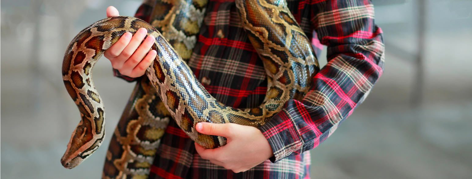 foto av et barn som holder en lang slange