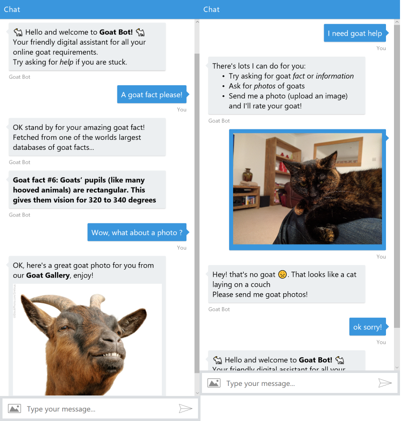 chat1