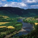 Sandbrauta, Grinnisvegen, Hovin