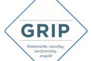 Grip