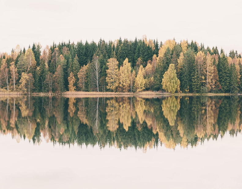 Image by Tomas Eidsvold