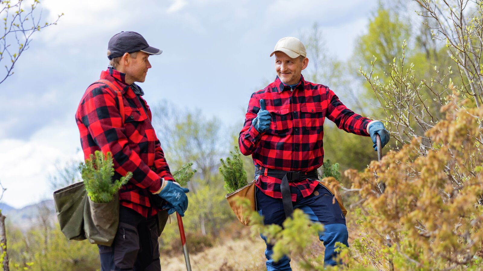 Ansatte fra Trefadder ute i skogen for å plante trær