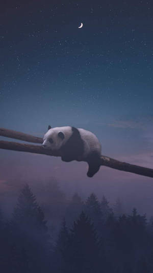 Panda sleeping on a tree branch under a starry night sky with a crescent moon. — Sleep Wallpaper