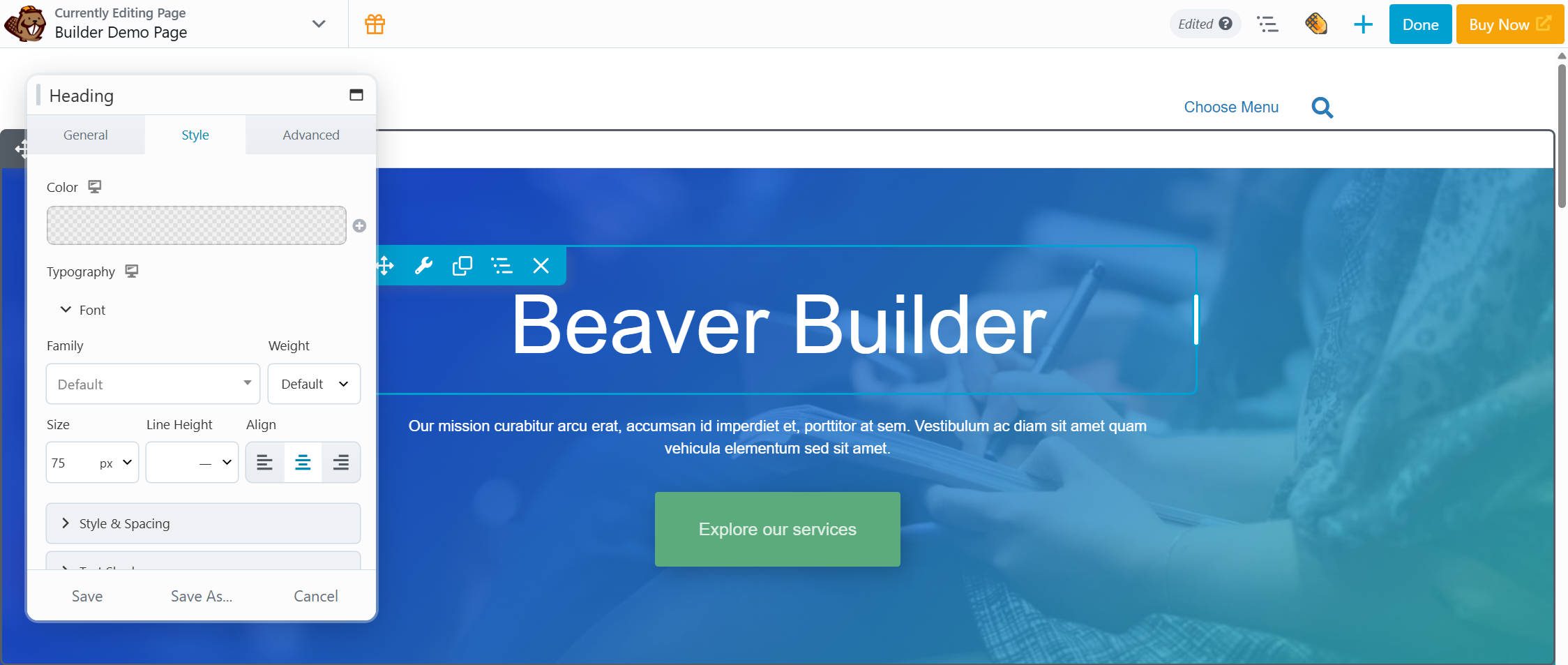 Beaver Builder Page Builder Editor Example
