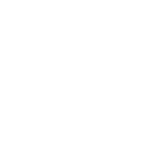 Bolagsverket white