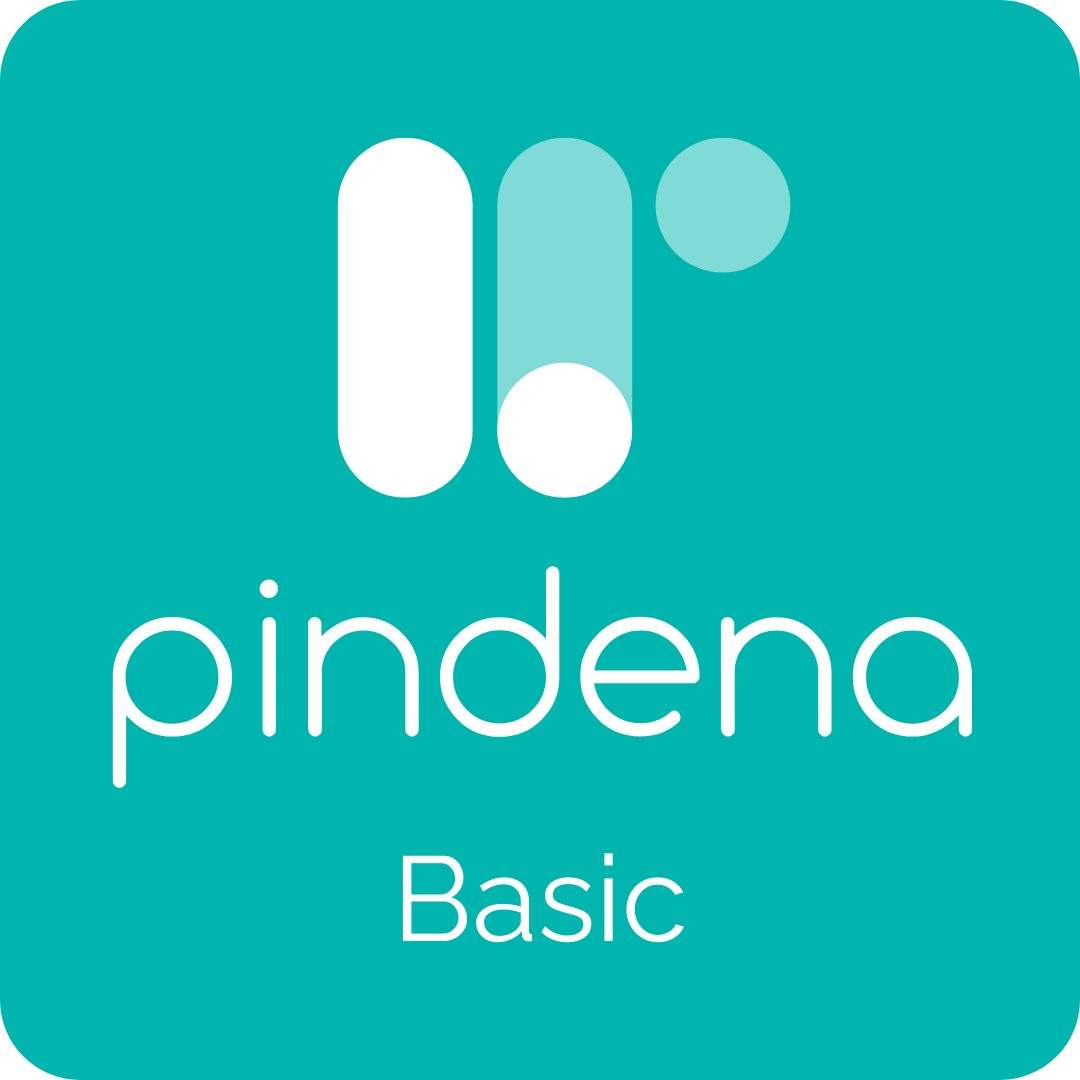 Pindena Basic lisens ikon