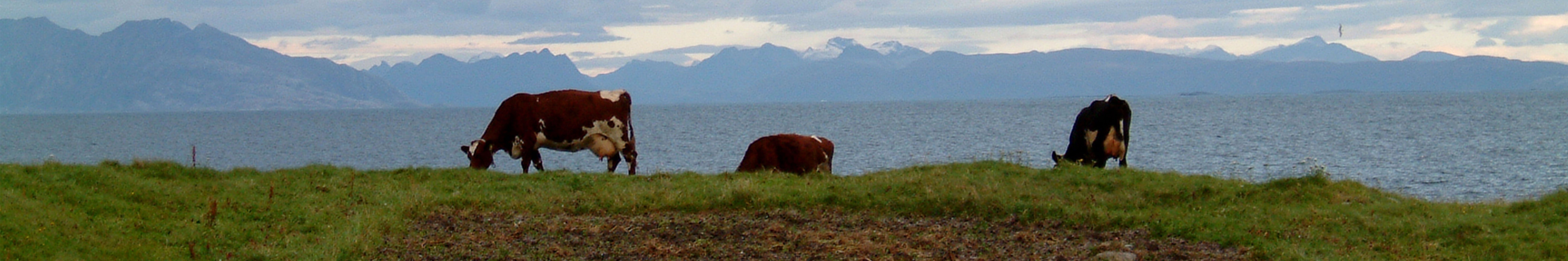 Bilde fra Givær i Bodø