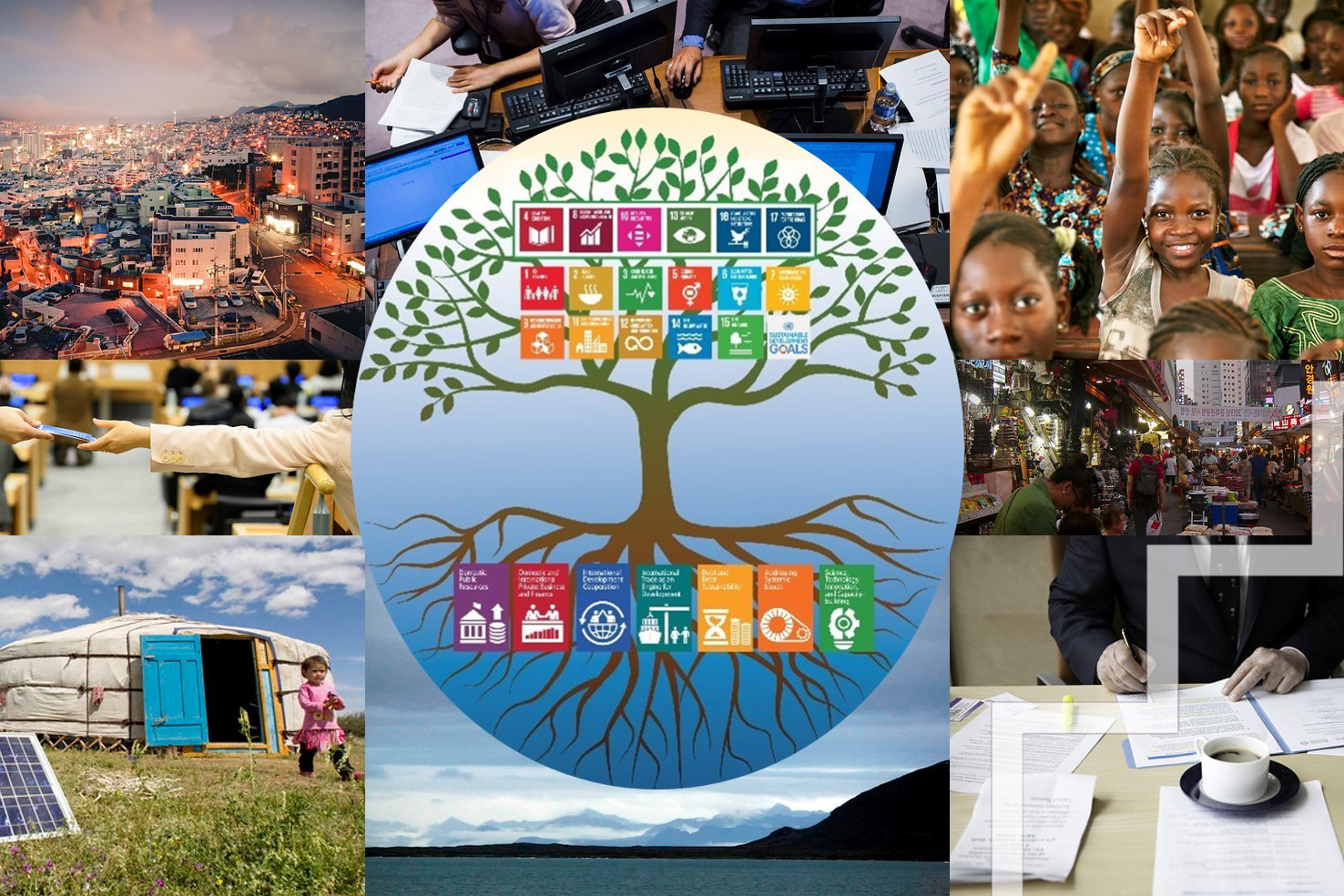 collage of photos and illustration of tree with SDGs for branches