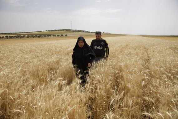 A photograph showing two figures in black clothing in a field of pale gold